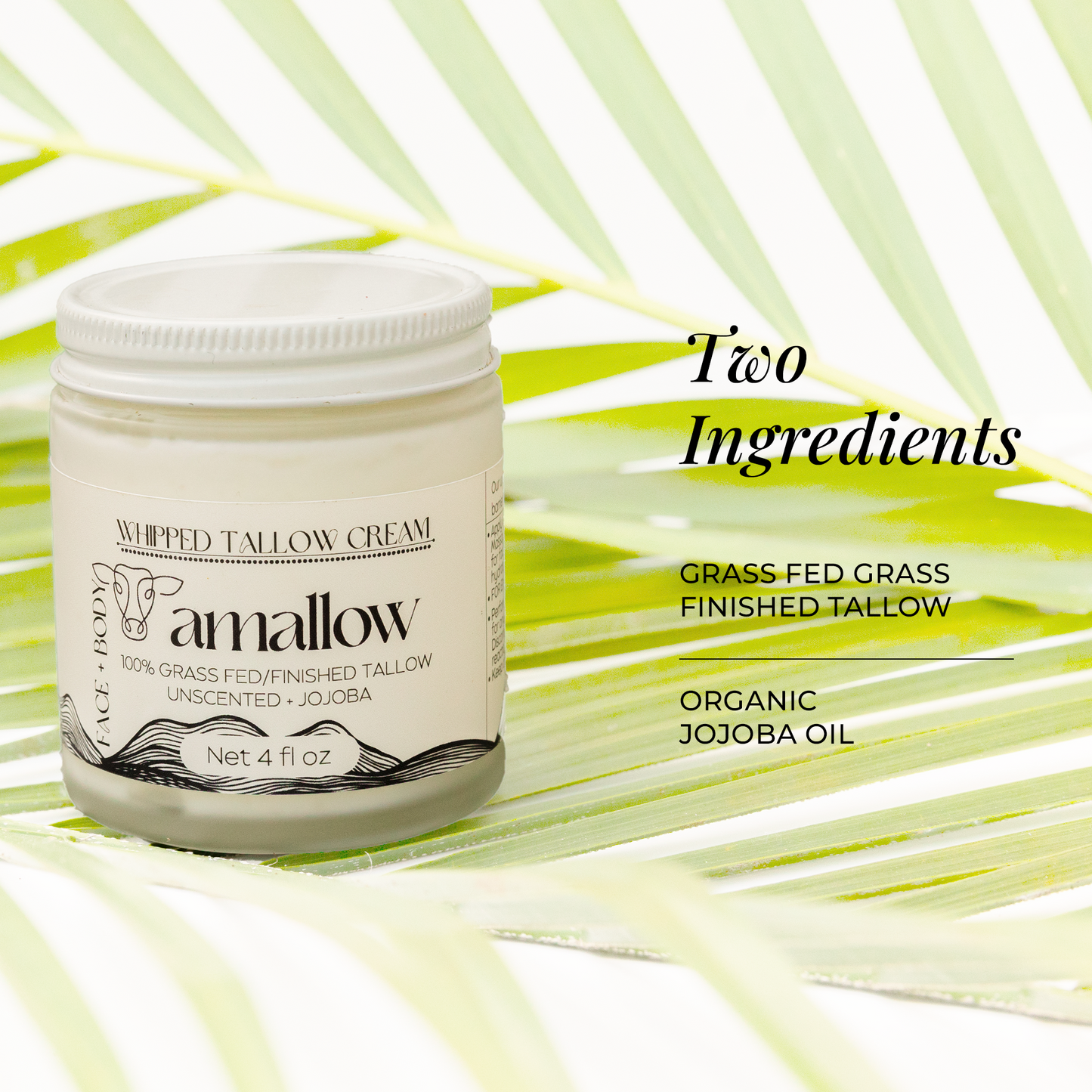 Two Ingredients, Grass Fed Grass Finished Tallow, Organic Jojoba Oil. Photo shown of product on a plant.