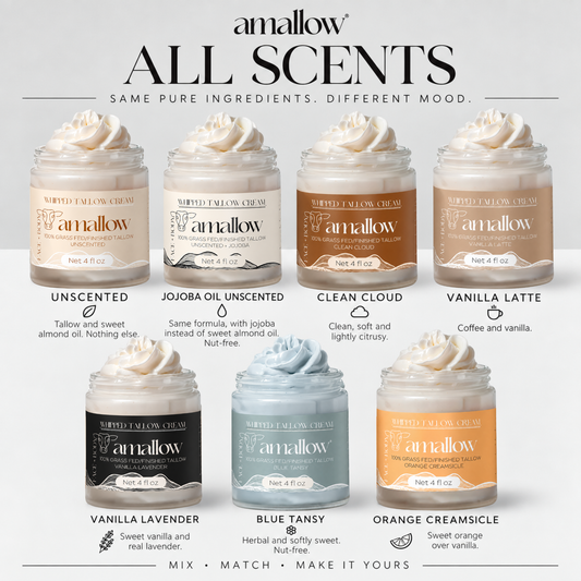 Amallow whipped tallow cream scent collection featuring Unscented, Jojoba Oil Unscented, Clean Cloud, Vanilla Latte, Vanilla Lavender, Blue Tansy, and Orange Creamsicle, displayed in open glass jars with whipped cream texture.
