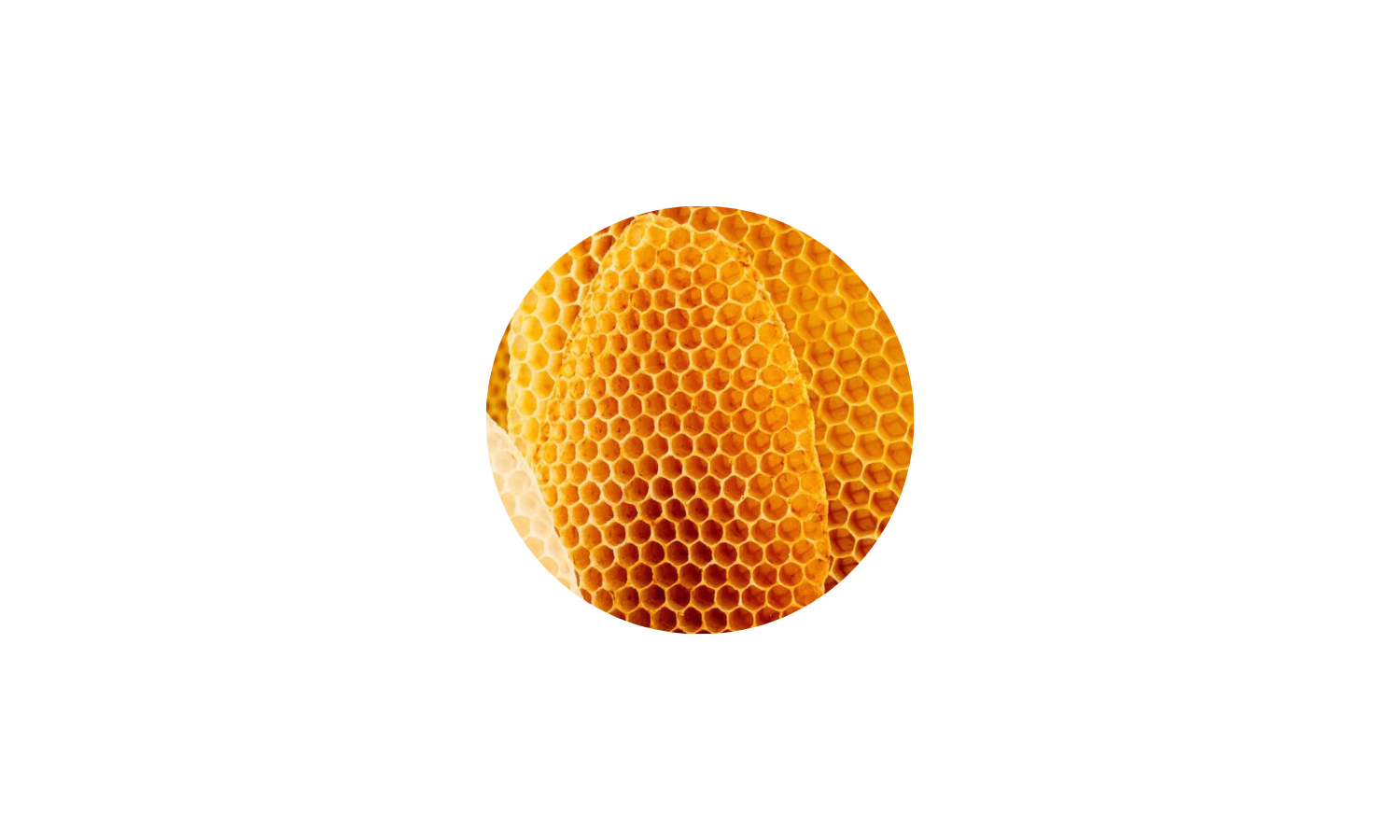 Picture of Honey Comb